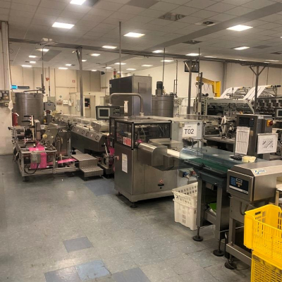 flow pack packaging machine_pfm
